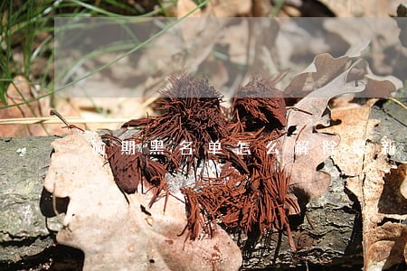 逾期黑名单怎么解除最新
