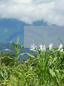 逾期黑名单怎么贷款 逾期黑名单怎么贷款