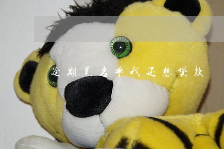 逾期黑名单我还想贷款 逾期黑名单我还想贷款