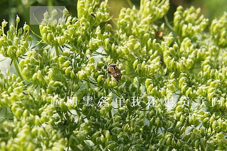 逾期黑名单我还想贷款吗 逾期黑名单我还想贷款吗