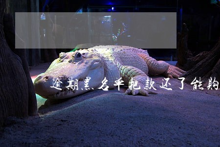 逾期黑名单把款还了能购买车吗 逾期黑名单把款还了能购买车吗