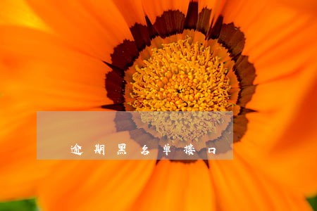 逾期黑名单接口 逾期黑名单接口