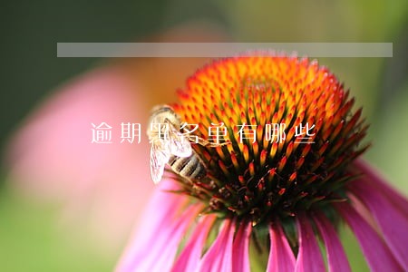 逾期黑名单有哪些 逾期黑名单有哪些