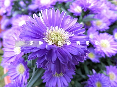 逾期黑名单有讯息吗 逾期黑名单有讯息吗