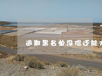 逾期黑名单没偿还能力 逾期黑名单没偿还能力