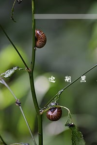 逾期黑名单申请人工消除