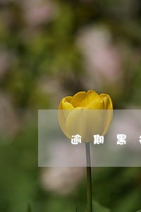 逾期黑名单的后果 逾期黑名单的后果