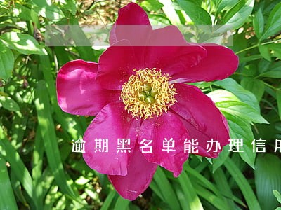 逾期黑名单能办理信用卡