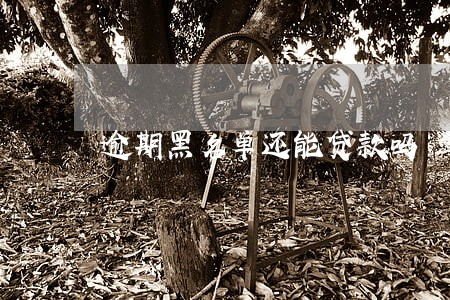 逾期黑名单还能贷款吗 逾期黑名单还能贷款吗