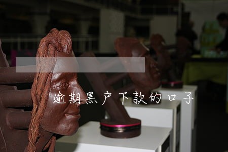 逾期黑户下款的口子 逾期黑户下款的口子