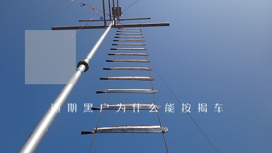 逾期黑户为什么能按揭车