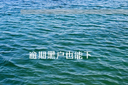 逾期黑户也能下 逾期黑户也能下