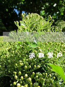 逾期黑户五年 逾期黑户五年