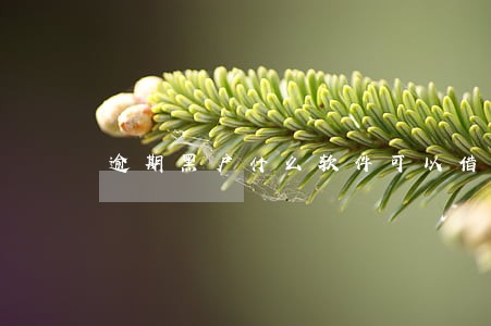 逾期黑户什么软件可以借到钱 逾期黑户什么软件可以借到钱