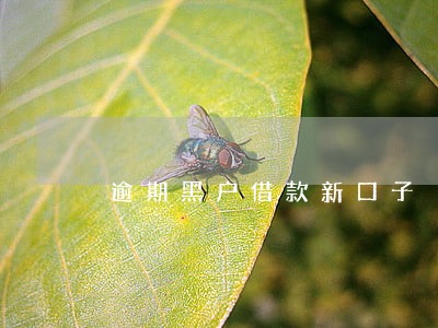 逾期黑户借款新口子 逾期黑户借款新口子