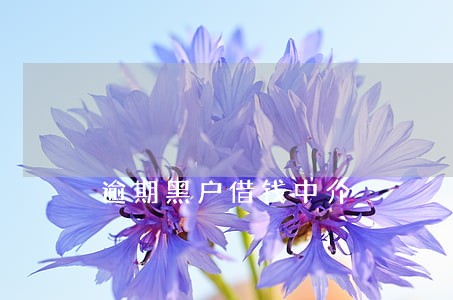 逾期黑户借钱中介 逾期黑户借钱中介