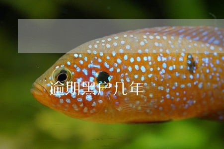 逾期黑户几年 逾期黑户几年