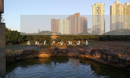 逾期黑户分期口子 逾期黑户分期口子