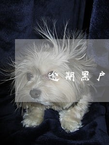 逾期黑户办信用卡