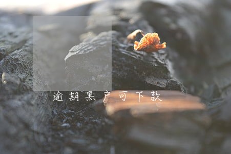 逾期黑户可下款 逾期黑户可下款