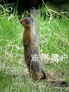 逾期黑户可以办中信信用卡吗 逾期黑户可以办中信信用卡吗