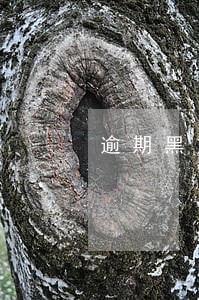 逾期黑户可以坐火车吗 逾期黑户可以坐火车吗