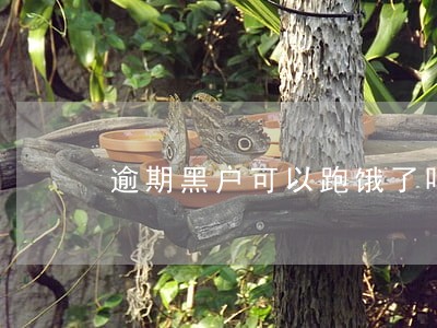 逾期黑户可以跑饿了吗 逾期黑户可以跑饿了吗