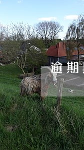 逾期黑户后果 逾期黑户后果