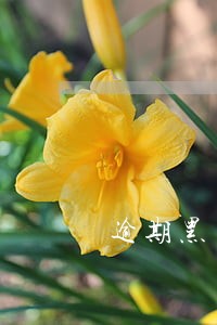 逾期黑户哪能借钱不上征信