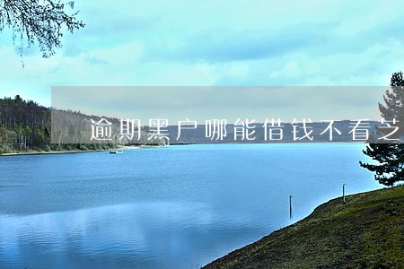 逾期黑户哪能借钱不看芝麻分 逾期黑户哪能借钱不看芝麻分