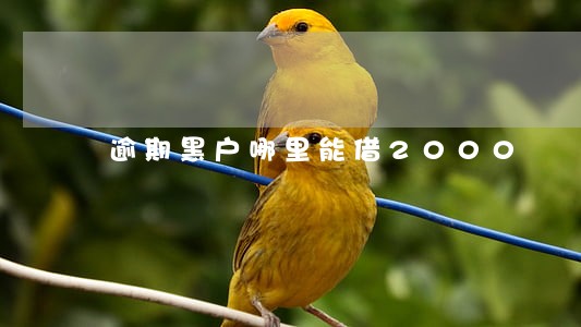 逾期黑户哪里能借2000 逾期黑户哪里能借2000
