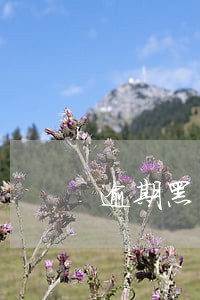 逾期黑户哪里能借50万 逾期黑户哪里能借50万