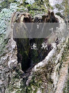 逾期黑户哪里能借7000块钱