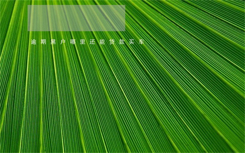 逾期黑户哪里还能贷款买车 逾期黑户哪里还能贷款买车