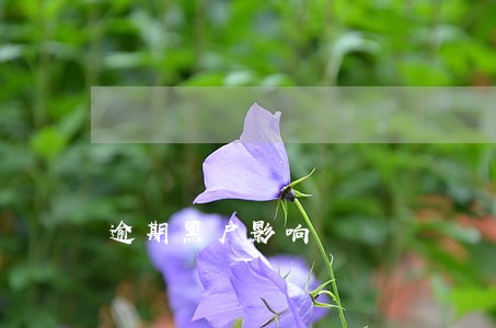 逾期黑户影响 逾期黑户影响