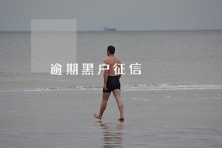 逾期黑户征信 逾期黑户征信
