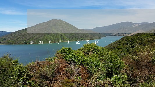 逾期黑户怎么下钱 逾期黑户怎么下钱