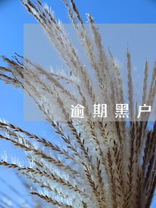 逾期黑户怎么弄到2000 逾期黑户怎么弄到2000