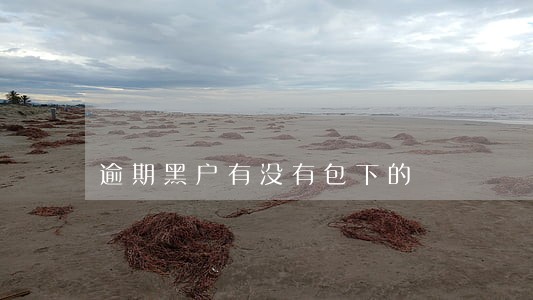 逾期黑户有没有包下的 逾期黑户有没有包下的