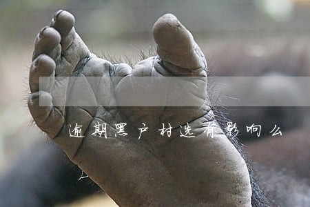 逾期黑户村选有影响么 逾期黑户村选有影响么
