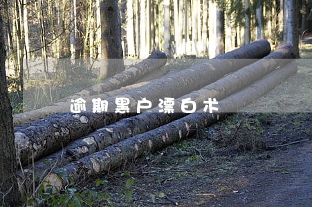 逾期黑户漂白术 逾期黑户漂白术