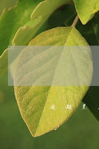 逾期黑户申请工行信用卡成功