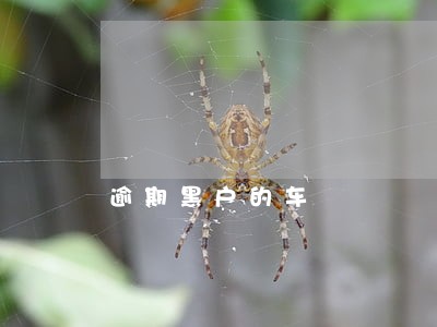 逾期黑户的车 逾期黑户的车