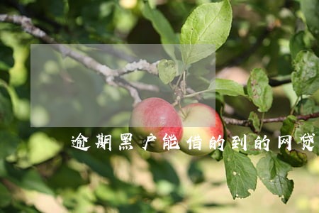 逾期黑户能借的到的网贷 逾期黑户能借的到的网贷