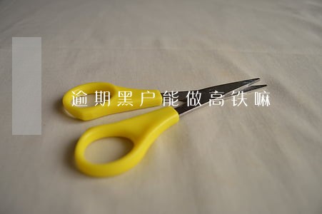 逾期黑户能做高铁嘛