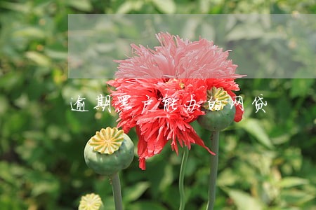 逾期黑户能办的网贷 逾期黑户能办的网贷
