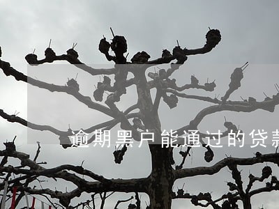 逾期黑户能通过的贷款买房 逾期黑户能通过的贷款买房