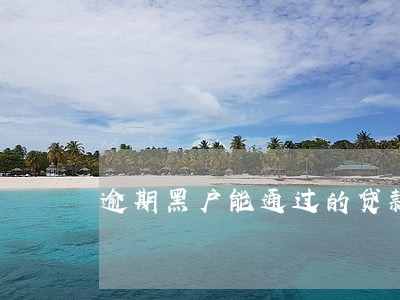 逾期黑户能通过的贷款吗 逾期黑户能通过的贷款吗