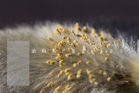逾期黑户需要1500 逾期黑户需要1500