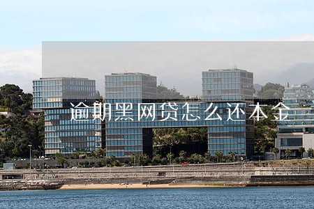 逾期黑网贷怎么还本金 逾期黑网贷怎么还本金